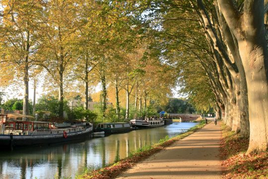 canaldumidi-3412865_1920 Cabinet Médical Toulouse Pont des Demoiselles